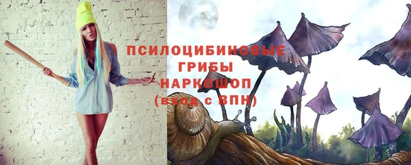бутират Пересвет