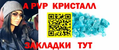дмт Аргун