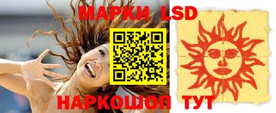 дмт Аргун