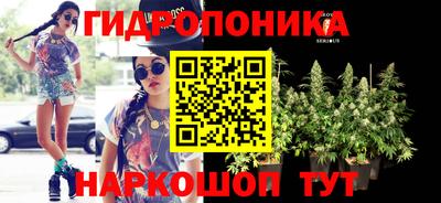 дмт Аргун