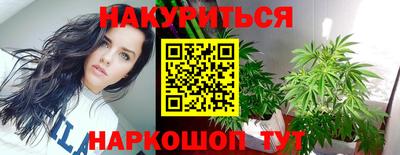 дмт Аргун