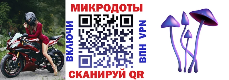 как найти закладки Советский Галлюциногенные грибы мицелий