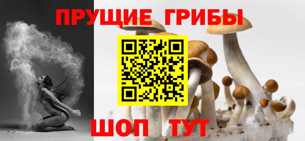 Псилоцибиновые грибы MAGIC MUSHROOMS  Вход с VPN  магазин продажи наркотиков  Советский  Галлюциногенные грибы Cubensis 