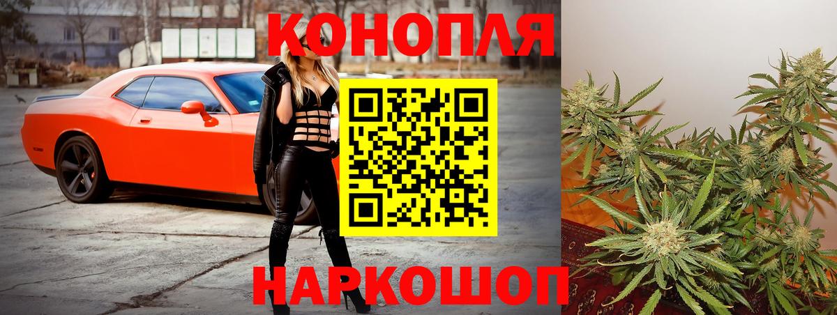 Шишки марихуана сатива  Шишки марихуана OG Kush  Советский  Шишки марихуана планчик  Вход с VPN 